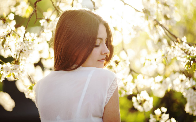 Woman tree cherry blossoms spring free wallpaper - medium preview image