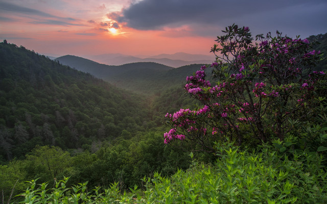 Sunset mountains flowers cloudy sky free wallpaper - medium preview image