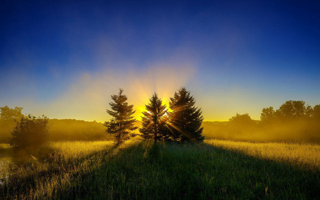 Field trees sunset fog nature free wallpaper - medium preview image