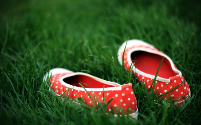 Red shoes grass field blurry free wallpaper - medium preview image