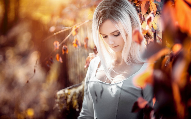 White hair forest autumn blurry free wallpaper - medium preview image