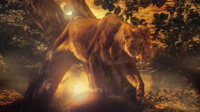 Lion forest night bright light free wallpaper - medium preview image