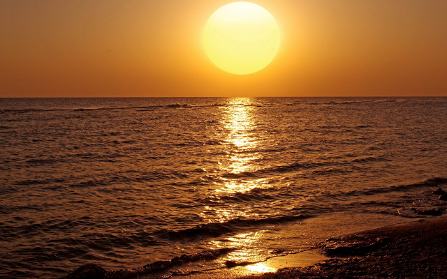 Sunset ocean surfer bird moon free wallpaper - medium preview image