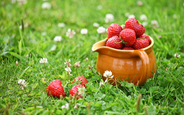 Bowl strawberries grass flower folk free wallpaper - medium preview image