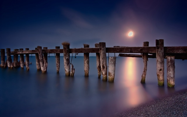 Pier moon reflection cityscape matte free wallpaper - medium preview image