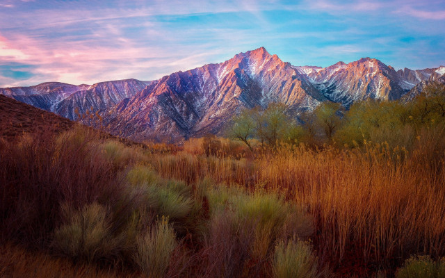 Mountain range trees bushes pink free wallpaper - medium preview image