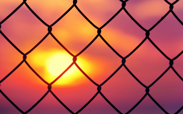 Sunset chainlink fence bird pumpkin free wallpaper - medium preview image