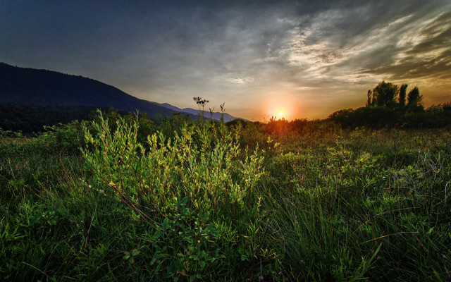 Sunset mountain clouds trees field free wallpaper - medium preview image
