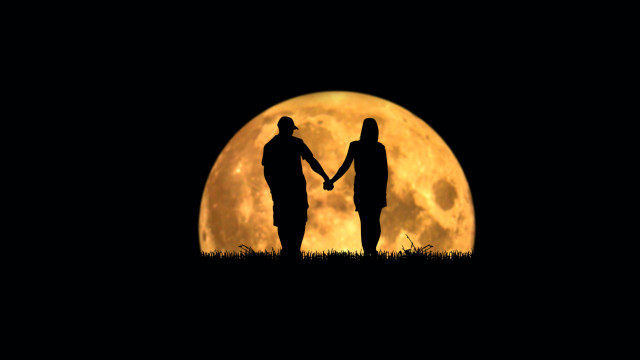 Romantic moonlit night silhouettes grass free wallpaper - medium preview image