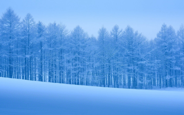 Snowy landscape trees blue sky #5 free wallpaper - medium preview image