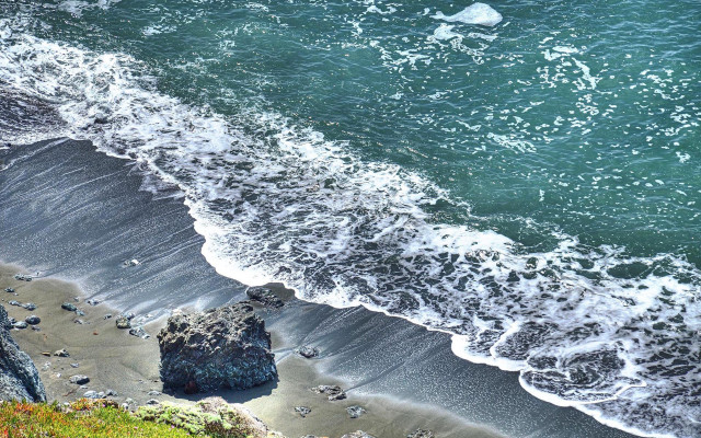 Bird flying over water beach free wallpaper - medium preview image