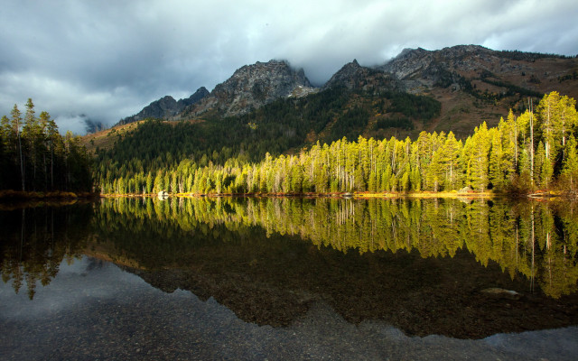 Mountain lake forest starry sky free wallpaper - medium preview image