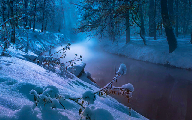 Snowy forest river branches night free wallpaper - medium preview image