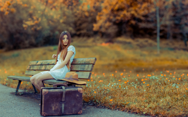 Alice prin woman bench suitcase free wallpaper - medium preview image