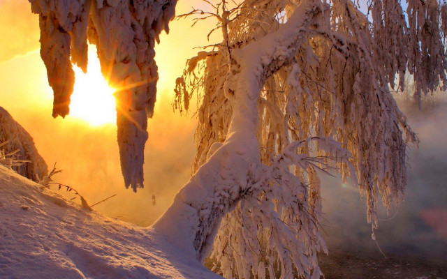 Sun ice snow branches sunset free wallpaper - medium preview image