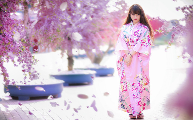 Pink kimono woman falling petals free wallpaper - medium preview image