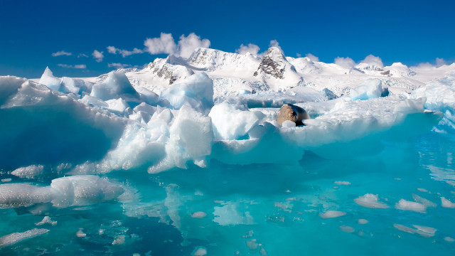 Polar bear iceberg mountains water free wallpaper - medium preview image
