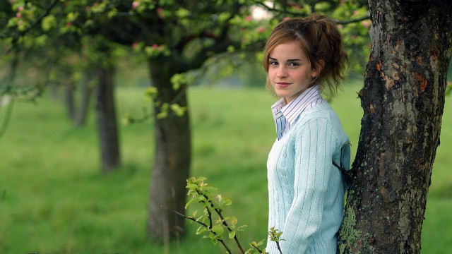 Woman tree field green background free wallpaper - medium preview image