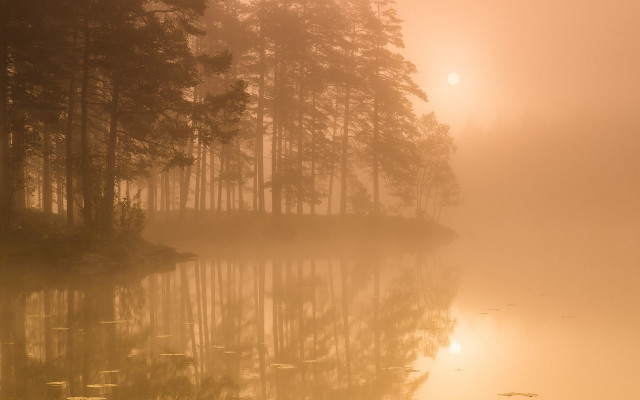 Foggy lake bench trees sunset free wallpaper - medium preview image