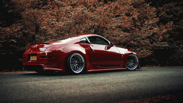 Red sports car road trees #3 free wallpaper - medium preview image