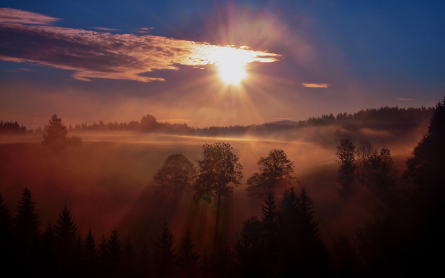 Sunset forest fog trees clouds free wallpaper - medium preview image