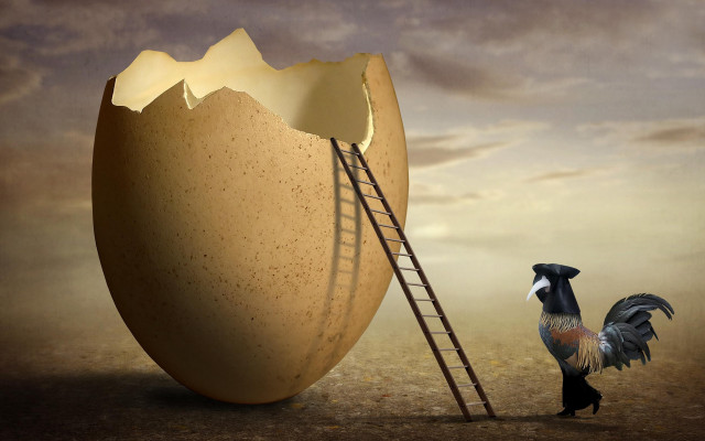Rooster giant egg ladder surrealist free wallpaper - medium preview image