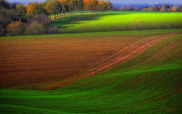 Field trees landscape impressionist fence free wallpaper - medium preview image