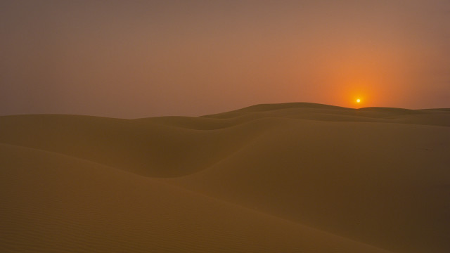 Sunset desert lone bird hazy free wallpaper - medium preview image