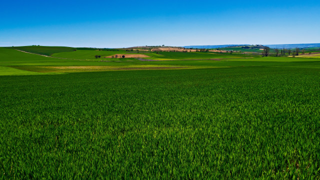 Green field house blue sky free wallpaper - medium preview image