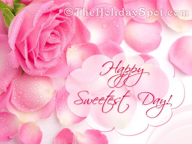Pink rose water droplets happy free wallpaper - medium preview image