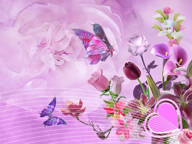 Bouquet butterfly purple background pink free wallpaper - medium preview image
