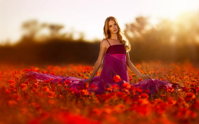Woman purple dress field autumn free wallpaper - medium preview image