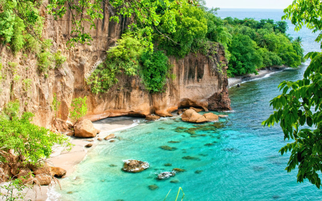 Beach cliff water trees rocks free wallpaper - medium preview image