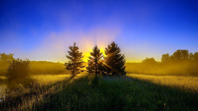 Crepuscular forest lake sunset puzzle free wallpaper - medium preview image