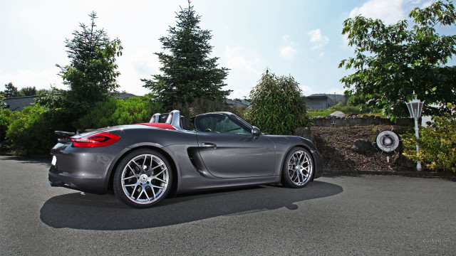 Grey sports car driveway tree free wallpaper - medium preview image