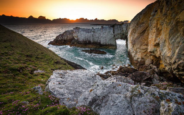 Rocky cliff water sunset flowers free wallpaper - medium preview image