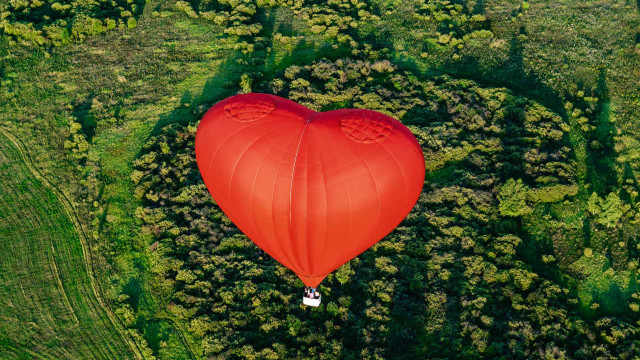 Heart balloon green field forest free wallpaper - medium preview image