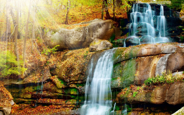 Waterfall forest fall foliage bench free wallpaper - medium preview image