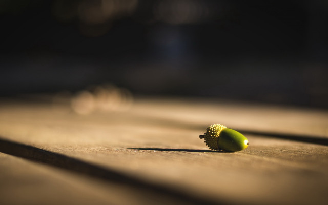 Small green object wooden table free wallpaper - medium preview image