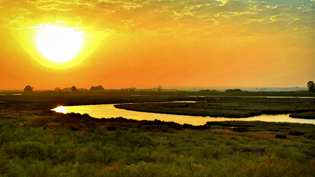 Sunset river grassy field trees free wallpaper - medium preview image