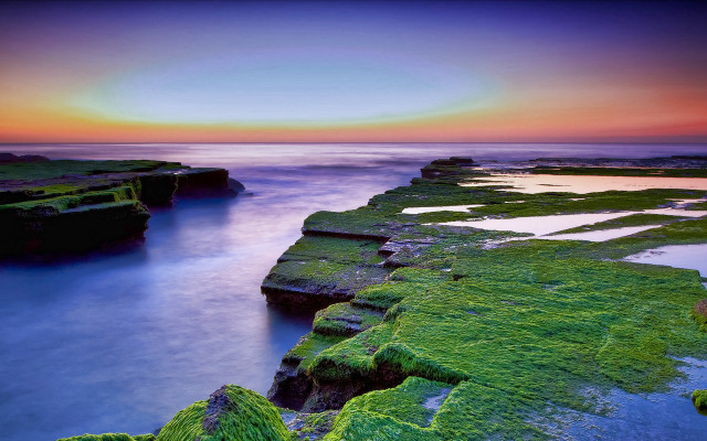 Sunset rocky beach moss water #5 free wallpaper - medium preview image