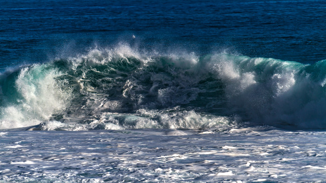 Wave surfing ocean sunny beach free wallpaper - medium preview image