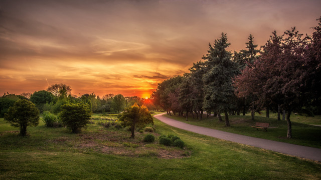 Sunset park bench trees path free wallpaper - medium preview image
