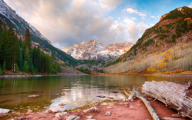 Mountain lake forest fallen tree free wallpaper - medium preview image