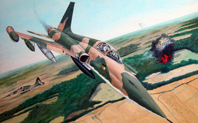Fighterjet over grass fire american free wallpaper - medium preview image