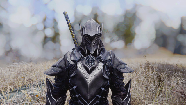 Man black armor sword field free wallpaper - medium preview image