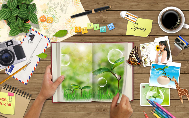 Person holding book camera coffee free wallpaper - medium preview image