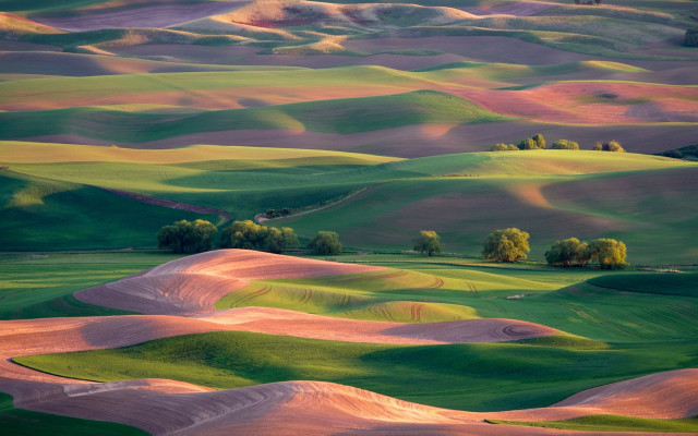 Green field trees hill cloudy free wallpaper - medium preview image