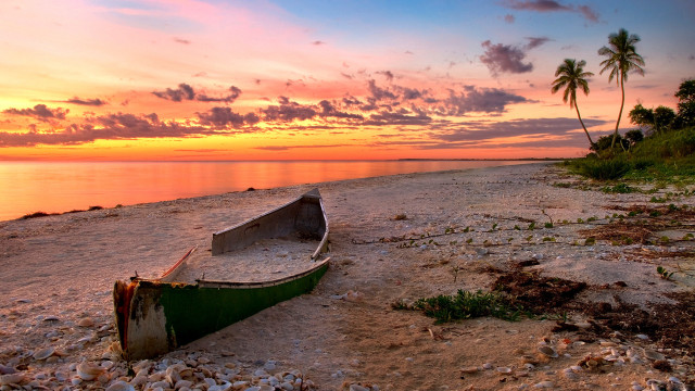 Boat beach sunset palm tree free wallpaper - medium preview image