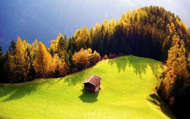 Small cabin autumn landscape matte free wallpaper - medium preview image